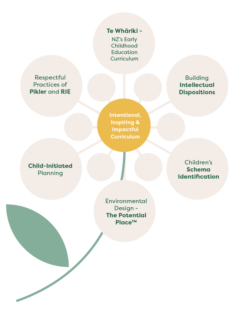 Our Curriculum